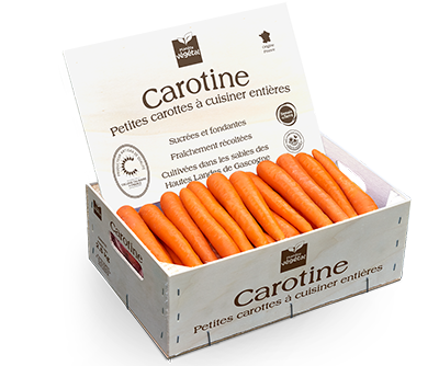 caisse carotine