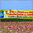 Banderole Action de Préservation de l’Abeille Noire des Landes – Jachères Fleuries au cœur des parcelles carottes et poireaux