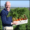 Christian Letierce dans champ de carottes