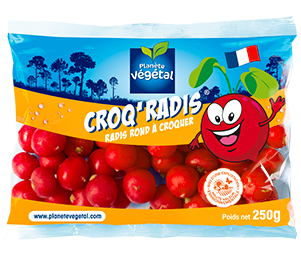 croqRadis