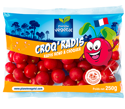 croqRadis